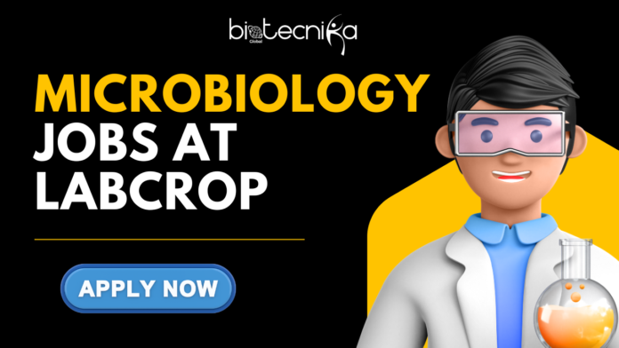 Microbiology Jobs at Labcrop. Explore the Lab Supervisor I - Microbiology position at Labcorp. Latest Life Science Jobs in USA Microbiology Jobs at Labcrop. Explore the Lab Supervisor I - Microbiology position at Labcorp. Latest Life Science Jobs in USA