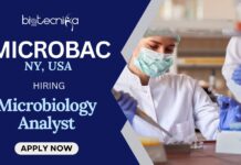 Microbiology Jobs at Microbac | Apply for the Anlayst Role Microbiology Jobs at Microbac Apply for the Anlayst Role and unlock your Science Career Now!