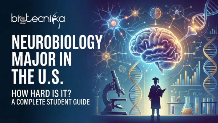 Neurobiology Major in the U.S. How Hard Is It A Complete Student Guide Neurobiology major in the U.S. featured banner image showing a glowing human brain, neurons, DNA double helix, microscope, lab glassware, graphs, and a silhouette of a graduating student in a cap and gown reading a book, with the text “Neurobiology Major in the U.S. – How Hard Is It? A Complete Student Guide” and the Biotecnika Global logo on a dark blue background.