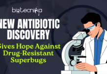 New Antibiotic Discovery Gives Hope Against Drug-Resistant Superbugs A new antibiotic discovery from a decades-old bacterium could change the fight against superbugs. Scientists call it โa hidden gem in plain sight.