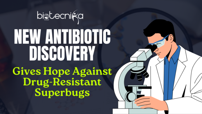 A new antibiotic discovery from a decades-old bacterium could change the fight against superbugs. Scientists call it “a hidden gem in plain sight.