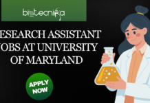 Research Assistant Jobs at University of Maryland | Biology Jobs Opportunities Research Assistant Jobs at University of Maryland. Biology Jobs Opportunities. Apply now for the Scientist I – Microbiology position at Pace.