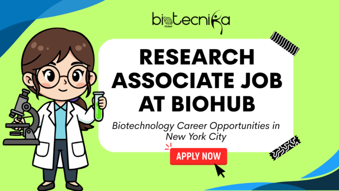 Research Associate Job at Biohub. Biotechnology Career Opportunities in New York City. Apply for the Research Associate Job in New York City.