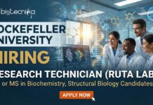 Research Jobs at Rockefeller University | Apply for the Research Technician Role Research Jobs at Rockefeller University Apply for the Research Technician Role