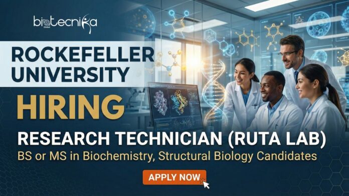 Research Jobs at Rockefeller University Apply for the Research Technician Role