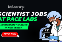 Scientist Jobs at Pace Labs | Microbiology Careers in New Jersey Scientist Jobs at Pace Labs. Microbiology Careers in New Jersey. Latest Life Science Jobs in the USA. Research scientist roles