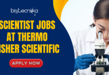 Scientist Jobs at Thermo Fisher Scientific | Life Science Grads Apply Now Scientist Jobs at Thermo Fisher Scientific. Explore the Entry Level Scientist job at Thermo Fisher Scientific. Latest Life Science Jobs