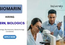 Summer Internship Program Opportunity at BioMarin Career | Apply for the Biotechnology Intern Role Now! Summer Internship Program Opportunity at BioMarin Career Apply for the Biotechnology Intern Role Now!