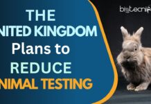 The UK Reveals the Way to Reduce Animal Testing UK Reveals the Way to Reduce Animal Testing