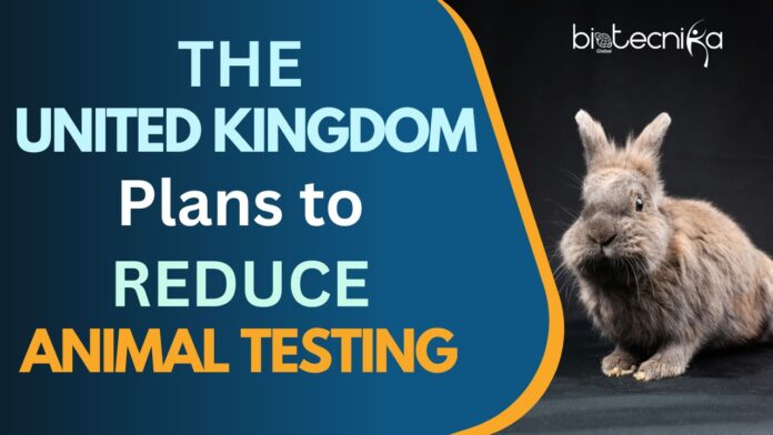 UK Reveals the Way to Reduce Animal Testing