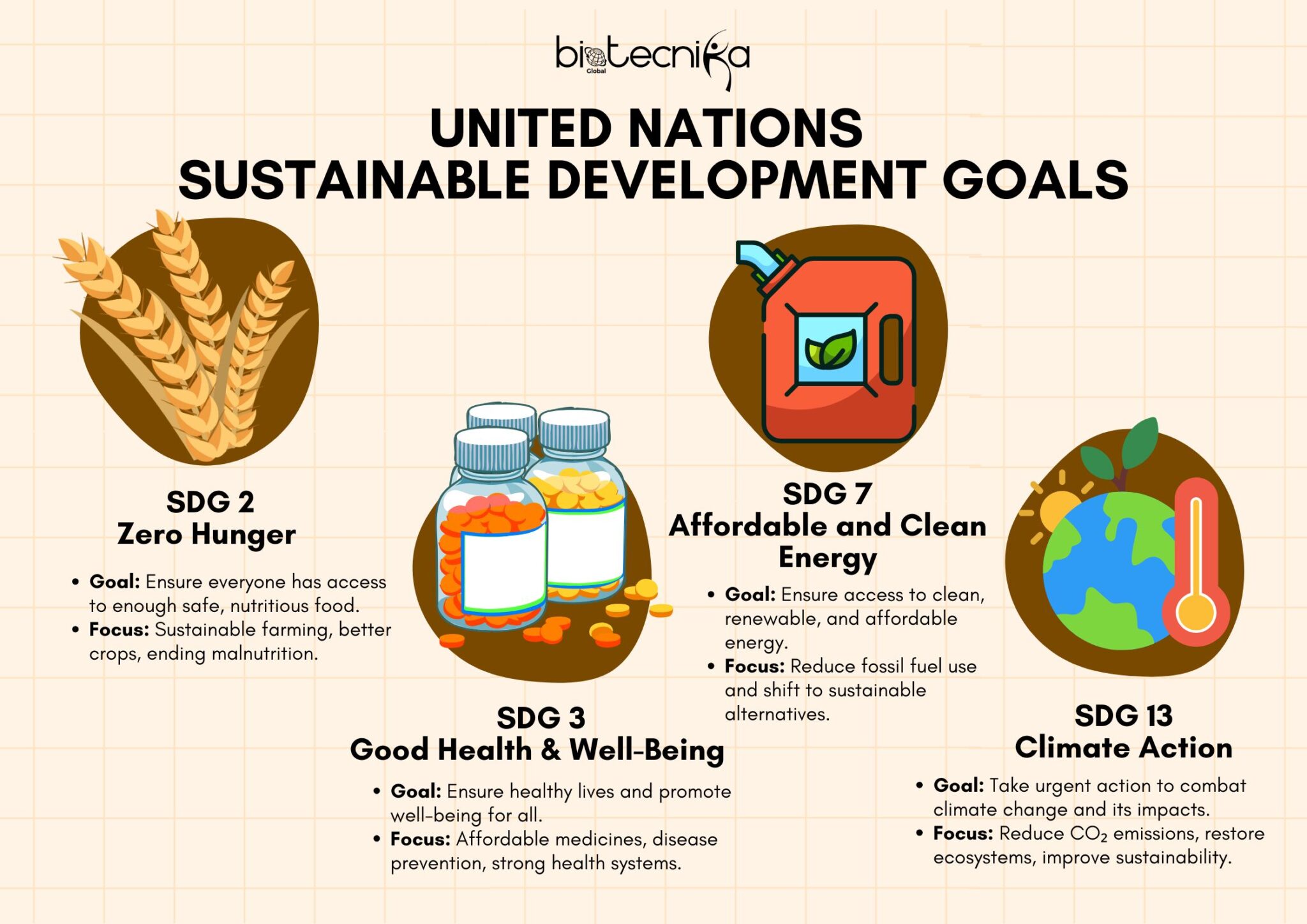 United Nations Sustainable Development Goals