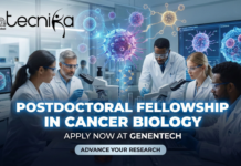 Postdoctoral Fellowship in Cancer Biology at Genentech | Fellowships in the USA Postdoctoral Fellowship in Cancer Biology. Explore a competitive Postdoctoral Fellowship in Cancer Biology in the USA.