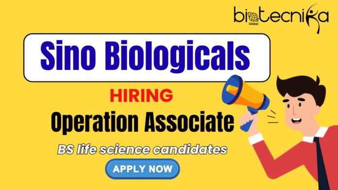 Operation Associate Jobs at Sino Biologicals careers
