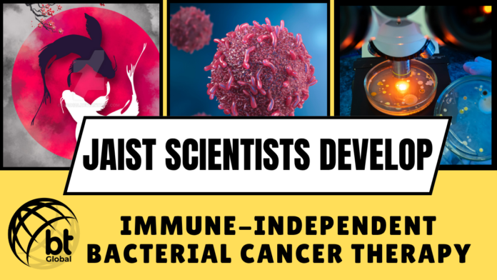 Bacterial Cancer Treatment: JAIST Scientists Develop Immune-Independent Cure