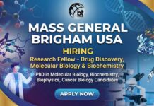 Research Jobs at Mass General Brigham USA | Apply for Research Fellow Role “Research Fellow job in drug discovery, molecular biology & biochemistry at Mass General Brigham”