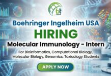 Internship Offers at Boehringer Ingelheim USA | Apply for Molecular Immunology – Intern Role Molecular Immunology Internship at Boehringer Ingelheim – Student working on bioinformatics research