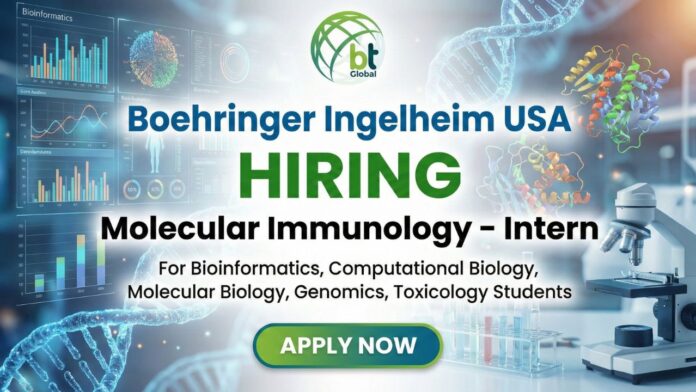 Molecular Immunology Internship at Boehringer Ingelheim – Student working on bioinformatics research