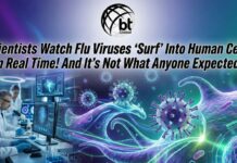 Scientists Watch Flu Viruses ‘Surf’ Into Human Cells in Real Time! And It’s Not What Anyone Expected Scientists Watch Influenza Flu Viruses ‘Surf’ Into Human Cells in Real Time! And It’s Not What Anyone Expected