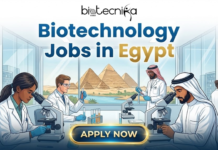 Latest Biotechnology Jobs in Egypt | Apply For Lab Specialist at Nilex Foods Explore Biotechnology Jobs at Nilex Foods in Egypt. Apply for Lab Specialist roles ideal for life science graduates seeking global careers.