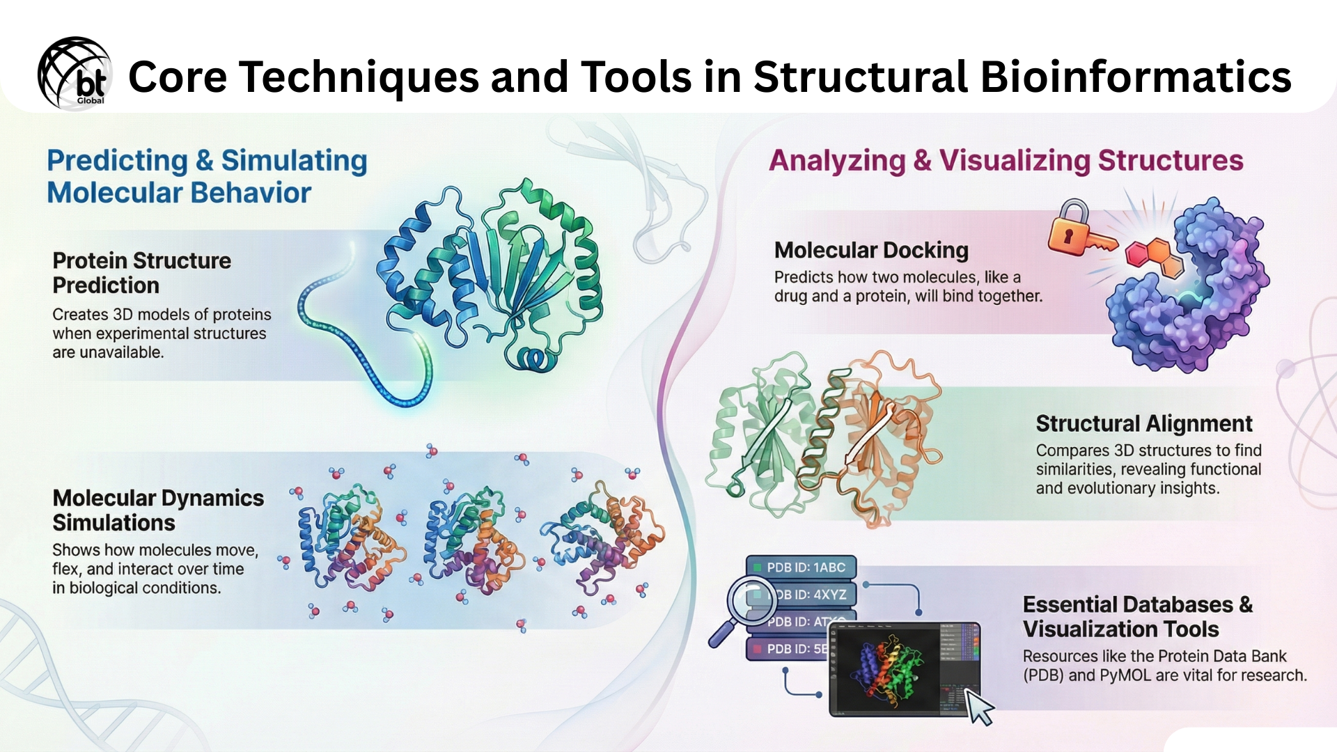 Core Techniques and Tools in Structural Bioinformatics