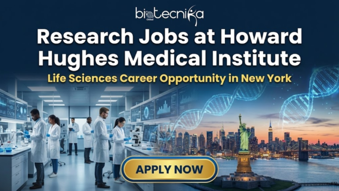 Research Jobs at Howard Hughes Medical Institute | Life Sciences. Featured image for Biotecnika Global, titled "Research Jobs at Howard Hughes Medical Institute" with the subtitle "Life Sciences Career Opportunity in New York." The graphic is split, showing a modern laboratory with diverse scientists on the left and a sunset view of the New York City skyline with the Statue of Liberty and glowing DNA strands on the right. A large, golden "APPLY NOW" button is at the bottom.
