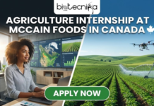 Latest Agriculture Internship at McCain | Digital Internships in Canada Agriculture Internship at McCainย Foods In Canada. A vertical promotional poster titled "DIGITAL AGRICULTURE INTERNSHIP" in bold white text against a dark green background. The image features a split design: the left side depicts a drone hovering over rows of green crops in a field, emitting a blue scanning beam. The right side shows a young male intern holding a tablet that displays the McCain logo, surrounded by glowing holographic charts and data visualizations, illustrating the blend of technology and agriculture.