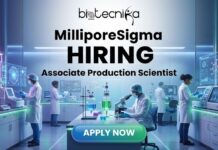 Latest Biology Jobs at MilliporeSigma USA | Apply for the Associate Production Scientist Role Now Latest Biology Jobs at MilliporeSigma Careers | Apply for the Associate Production Scientist Role Now