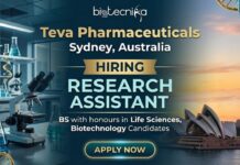 Latest Research Jobs at Teva Pharmaceuticals | Apply for the Research Assistant Role! Latest Research Jobs at Teva Pharmaceuticals Careers | Apply for the Research Assistant Role!