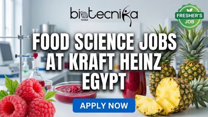 Latest Food Science Jobs at Kraft Heinz, Egypt | Apply for the Regulatory Affairs Coordinator Role!