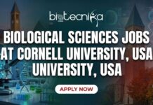 Lab Technician Role at Cornell University | Apply for the Biological Sciences Jobs! Enhance your career with the Lab Technician Role at Cornell University | Apply for the Biological Sciences Jobs!