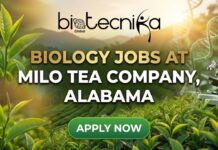Milo Tea Company Hires Quality Technician in Alabama | Apply for the Biology Jobs Now! Milo Tea Company Hires Quality Technician in Alabama | Apply for the Biology Jobs Now!