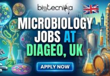 Diageo Hiring for Microbiologist Position in the UK | Apply for the Microbiology Jobs Diageo Hiring for Microbiologist Position in the UK | Apply for the Microbiology Jobs