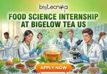 Latest Food Science Internship at Bigelow Tea | R&D Internship Opportunity in US Apply for food science internship at Bigelow Tea. Gain hands-on R&D internship experience. Explore US internships for life science students.