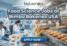 Launch Your R&D Career: Become a Research and Development Technologist at Bimbo Bakeries USA Food Science Jobs at Bimbo Bakeries USA. Explore the Research and Development Technologist role at Bimbo Bakeries USA.