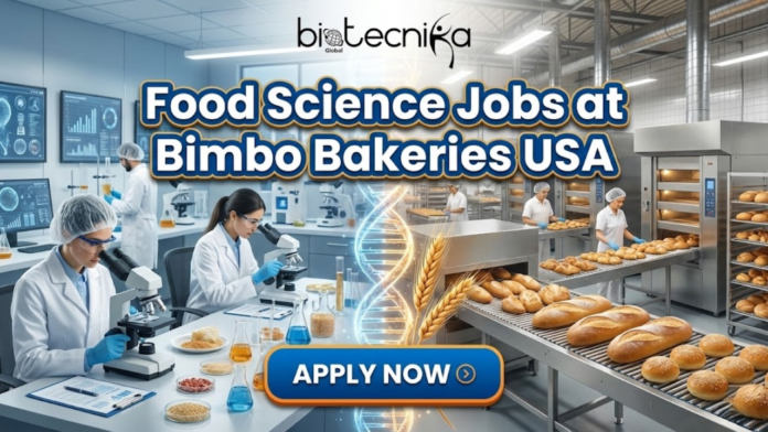 Food Science Jobs at Bimbo Bakeries USA. Explore the Research and Development Technologist role at Bimbo Bakeries USA.
