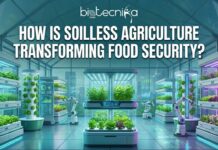 How is Soilless Agriculture Transforming Food Security? HOW IS SOILLESS AGRICULTURE TRANSFORMING FOOD SECURITY FI