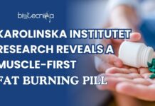 Karolinska Institutet Research Reveals a “Muscle-First” Fat-Burning Pill Illustration of a muscle-targeting fat-burning pill developed by Karolinska Institutet for improving metabolism and preserving muscle mass.