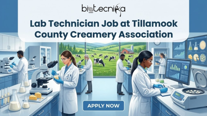 Explore a top lab technician job at Tillamook performing microbial and chemical analysis. Ideal for life science graduates in the USA.