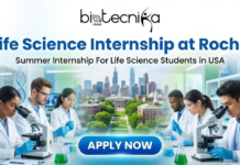 Life Science Internship at Roche | Summer Internship For Life Science Students in USA Apply for a life science internship at Roche. Join a paid SUMMER INTERNSHIP in Oncology Assay Development in the USA.