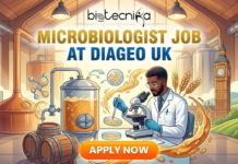 Microbiology Careers Alert! Diageo UK Hiring Microbiologists Now Apply for a Microbiologist role at Diageo in the UK. Explore microbiology jobs in beer manufacturing with Diageo careers. Life Science Jobs