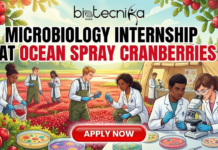 Microbiology Internship at Ocean Spray Cranberries | Apply For Paid Internship in USA Apply for a microbiology internship at Ocean Spray Cranberries in the USA. Gain hands-on food safety research for life science students.