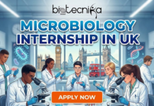 Microbiology Internship in UK | Apply For Quality Assurance Intern at Thermo Fisher Apply for a microbiology internship at Thermo Fisher Scientific. Gain hands-on quality assurance experience in a life science internship.