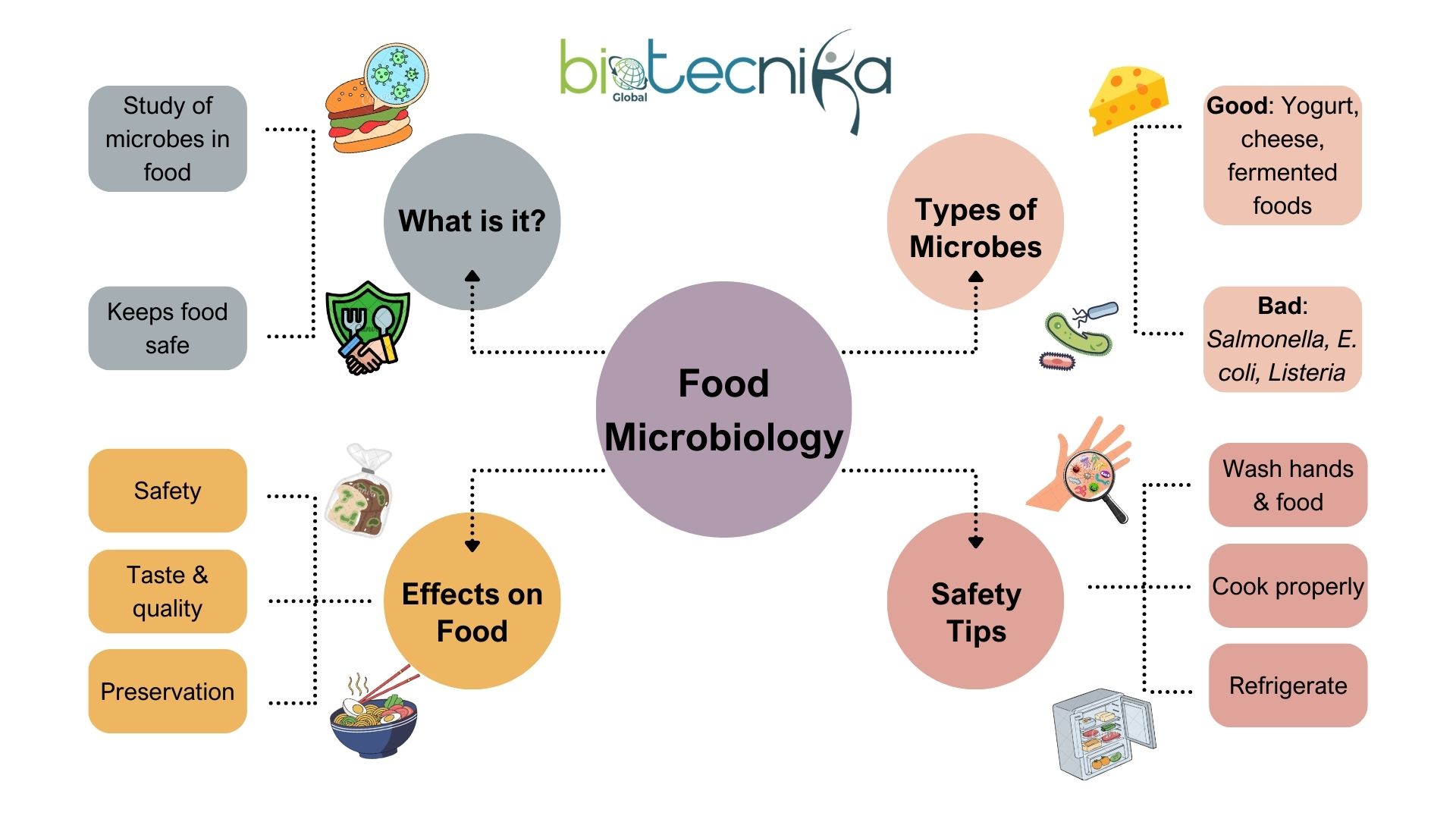 Mindmap on what is food microbiology