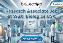 Fresher’s Job Opening in USA | Join as a Research Associate Job at WuXi Biologics USA Explore a top research associate job in Cell Culture Process Development at WuXi Biologics. Life Science Job in USA