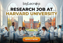 Research Job at Harvard University | Biological Sciences Join as Research Assistant Today Apply for a research job at Harvard University as a Research Assistant in a molecular biology lab. Latest research jobs in Boston