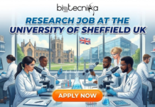 Research Job at University of Sheffield | Neuroscience Apply For Research Associate Role Apply for a research job at the University of Sheffield as a Research Associate in Human Neurophysiology. Jobs in UK