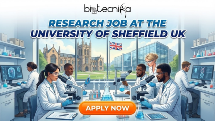 Apply for a research job at the University of Sheffield as a Research Associate in Human Neurophysiology. Jobs in UK