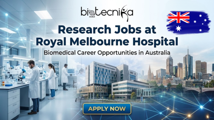 Research Jobs at Royal Melbourne Hospital Jobs in Australia Research Jobs at Royal Melbourne Hospital Jobs in Australia. Featured image for Biotecnika Global, advertising "Research Jobs at Royal Melbourne Hospital" with "Biomedical Career Opportunities in Australia." The visual is a composite showing a modern research laboratory with scientists, an exterior view of the Royal Melbourne Hospital, and the Melbourne city skyline with a map of Australia. A prominent "APPLY NOW" button is at the bottom.