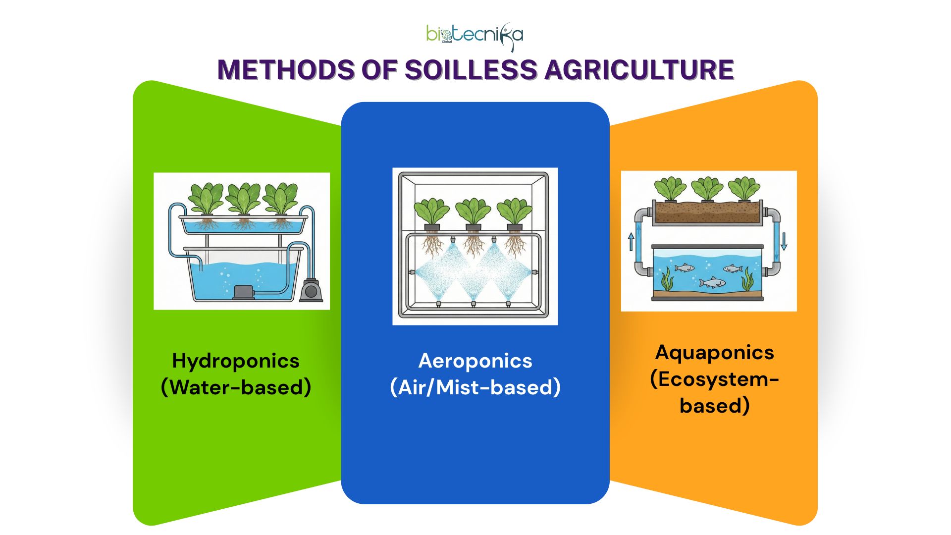 Soilless Agriculture MindMap
