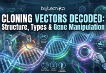Structure and Function of Cloning Vectors in Modern Gene Manipulation Worldwide Structure and Function of Cloning Vectors in Modern Gene Manipulation Worldwide